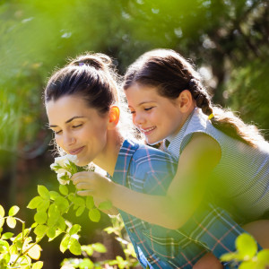 Mother smelling white roses while giving piggyback ride Gratis-Webinar: Kräuter-Hausapotheke für Kinder!