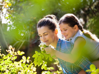 Gratis-Webinar: Kräuter-Hausapotheke für Kinder!