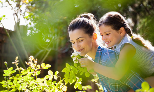 Gratis-Webinar: Kräuter-Hausapotheke für Kinder!