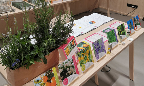 feeling Duftkärtchen