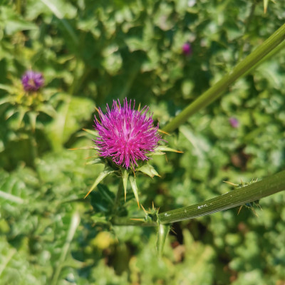 feeling Gärten 2 feeling Gärten 2