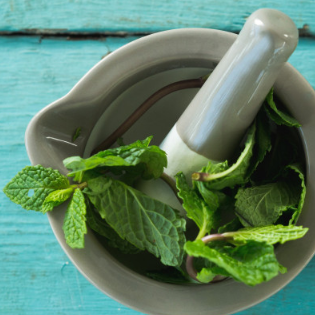 Natürlich entgiften mit der Kraft der Meisterkräuter Blogartikel