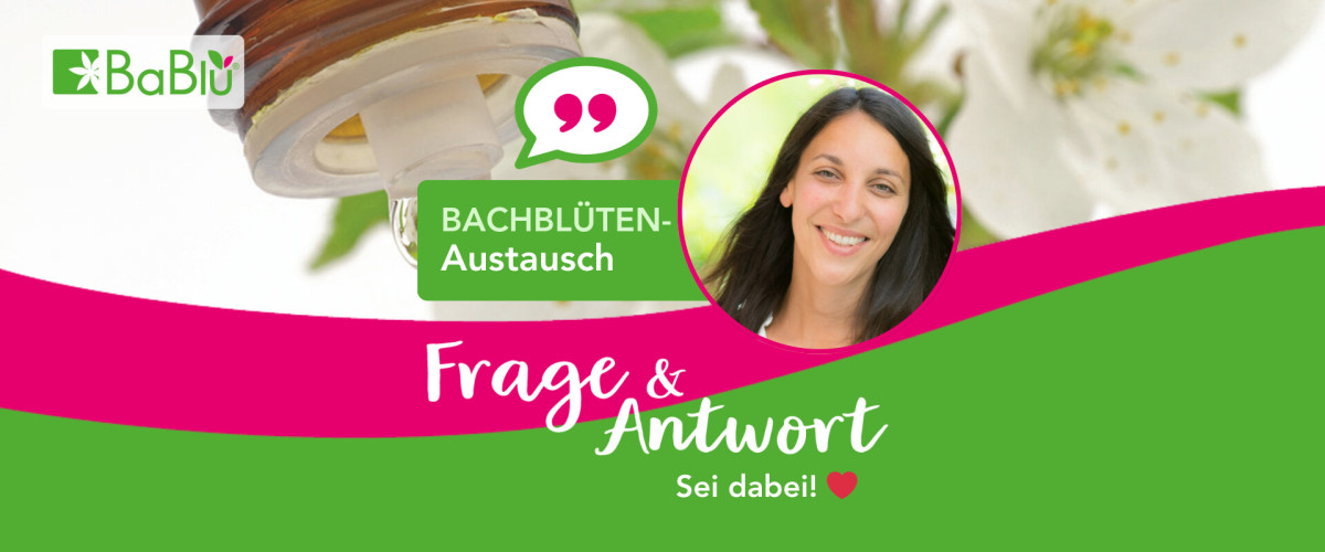 BaBlü® Bachblüten-Austausch Banner