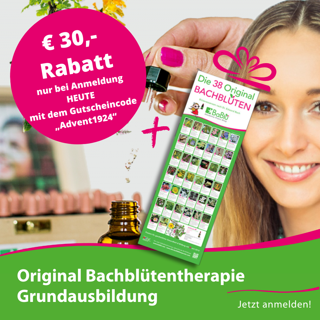 BaBlü® Advent T19_P24
