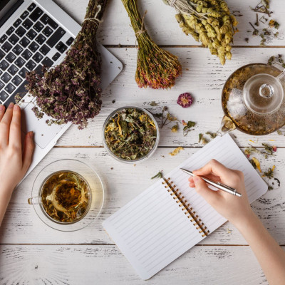 Kräuter Onlinekurs Kräuter Onlinekurs