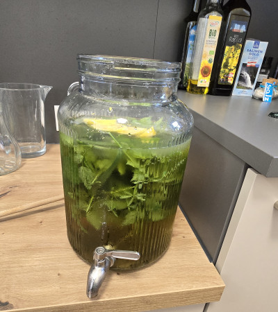 Wiesendudler (Wiesenlimonade)