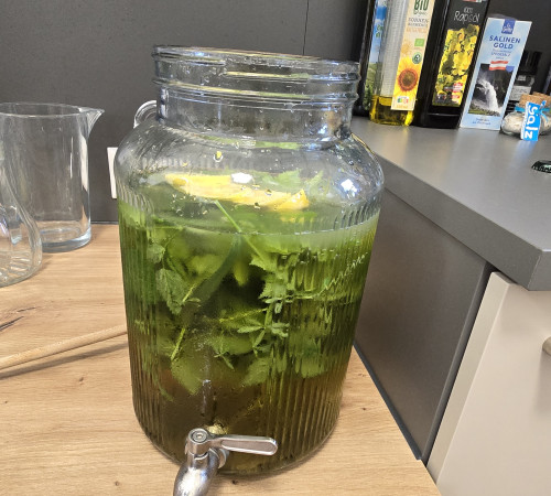 Wiesendudler (Wiesenlimonade)