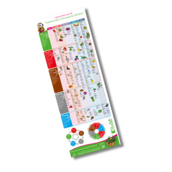 BaBlü® TCM Plakat – Lebensmittel, Kräuter, Organuhr, Meridiane – groß