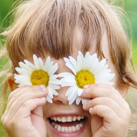 Gratis Webinar Kräuter Hausapotheke für Kinder