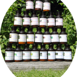 Meisterkräuter Gläser