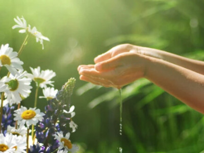 Heilpflanzen & Hausmittel für Kinder: 5 Gründe, warum Eltern sie kennen sollten!