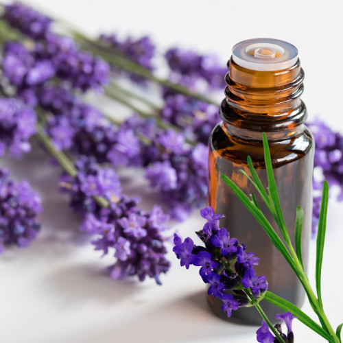 Lavendel Öl