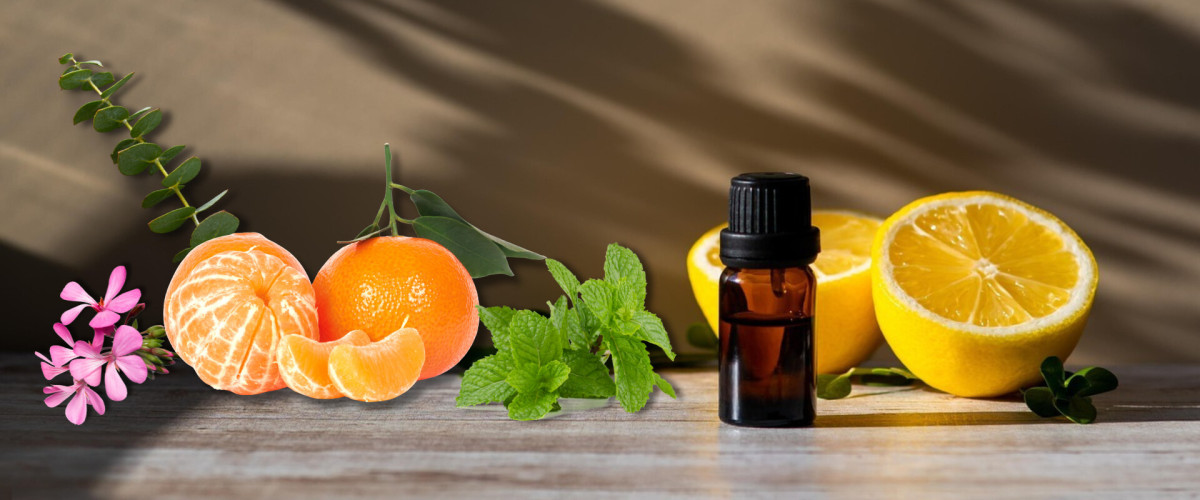 Aromatherapie im Sommer: Ätherische Öle zur Erfrischung, Insektenabwehr und Entspannung