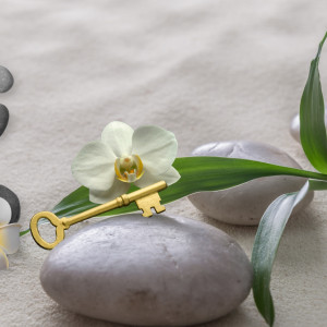 BaBlü Gratis Webinar Feng Shui Erfolg Gesundheit 3
