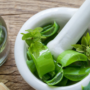 Heilpflanzen Hitze Blog (1) Heilpflanzen Hitze Blog (1)