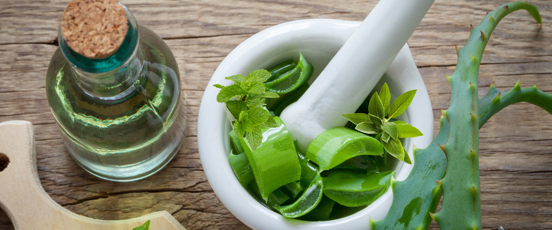 Heilpflanzen für heiße Tage – natürlich kühl bleiben mit Aloe, Salbei & Co.
