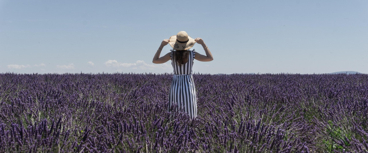 Frau Lavender