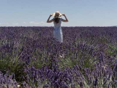 Frau Lavender