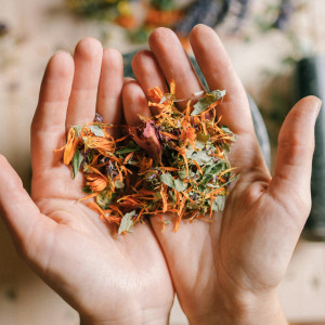 BaBlü Webinar - Die Kraft der Frauenkräuter 1 BaBlü Webinar - Die Kraft der Frauenkräuter 1