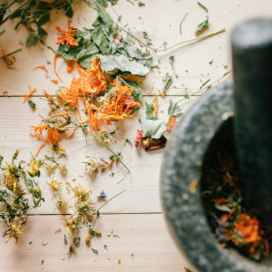 BaBlü Webinar - Die Kraft der Frauenkräuter 2 BaBlü Webinar - Die Kraft der Frauenkräuter 2