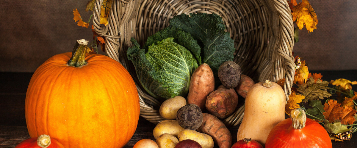 BaBlü Webinar - TCM Stark durch den Herbst 1