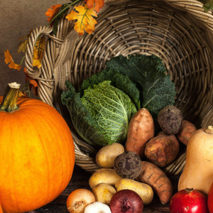 BaBlü Webinar - TCM Stark durch den Herbst 1 BaBlü Webinar - TCM Stark durch den Herbst 1