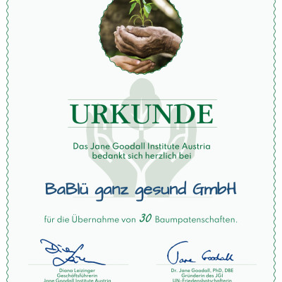 Urkunde 2024 - Jane Goodall Institute