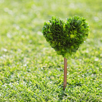 Positionierung mit Herz – Klarheit & Sichtbarkeit für Ihr Wohlfühlbusiness