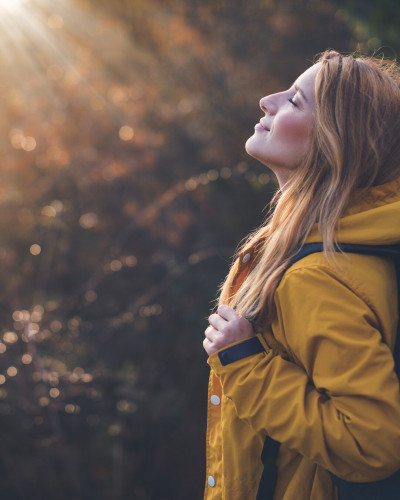 Fragen, Erfüllung, Werte - Erfolg mit Herz