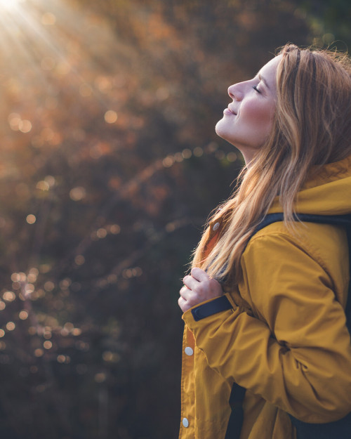 Fragen, Erfüllung, Werte - Erfolg mit Herz