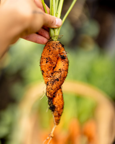 Unperfekt, Echt, Authentizität, Stark - Erfolg mit Herz