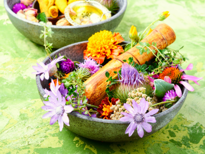 Online-Infoabend Aufzeichnung Dipl. Kräuterfachfraumann - Heilkräuterpädagogik Salzburg Online-Infoabend Aufzeichnung Dipl. Kräuterfachfraumann - Heilkräuterpädagogik Salzburg