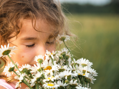 TEM-Kräuter- Hausapotheke für Kinder! TEM-Kräuter- Hausapotheke für Kinder!