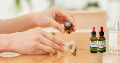 BaBlü® Webinar-Aufzeichnungen – Fachwissen aus Aromapflege, Bachblüten, TCM & Kräuterwissen uwm.