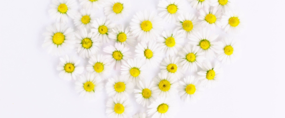 Selbstliebe, Lebensfreude & Beziehungsglück: BaBlü® Online-Themenabend