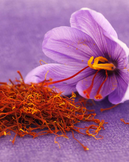 Safran – traditionelles Liebesgewürz für Herz und Stimmung