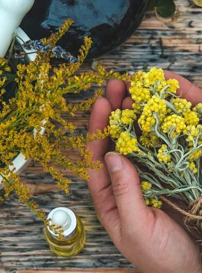 TEM Pflanzenwissen, Kräuter, Hausapotheke