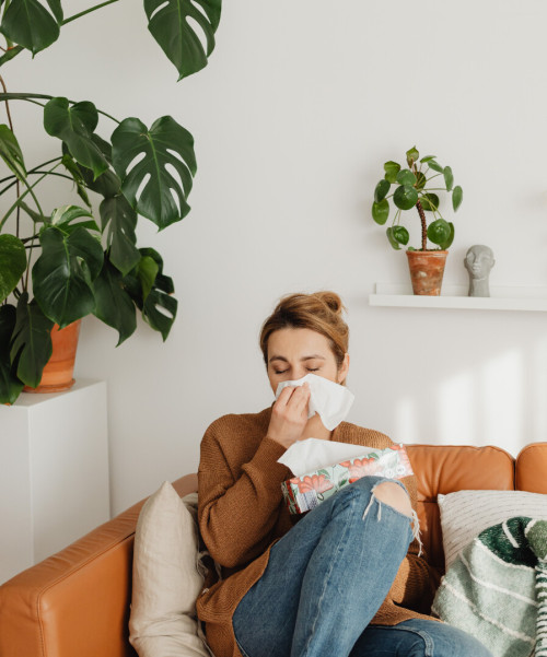 Allergie im Frühling – Brennnessel, Kamille und Löwenzahn neben einer Tasse Kräutertee in sonniger Wiese als natürliche Unterstützung bei Heuschnupfen
