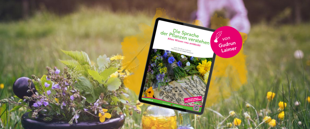 Die Sprache der Pflanzen verstehen - PDF