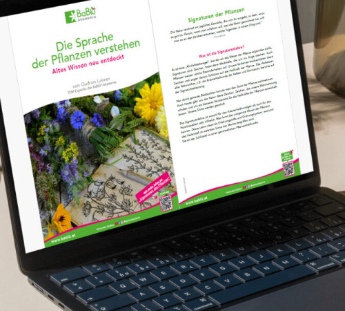 Signaturenlehre Heilpflanzen Beispiel