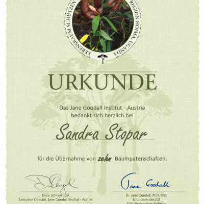 1773132253021-20f23479-d26d-4351-8749-a6e40b132581_1