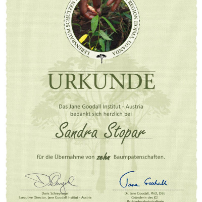 2021 Stopar2_JGI-Urkunde-Baum - Kopie