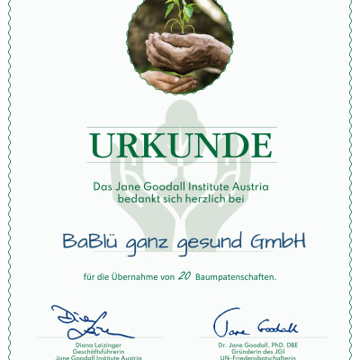 2023-JGIA-Baumurkunde_BaBlü - Kopie 2023-JGIA-Baumurkunde_BaBlü - Kopie