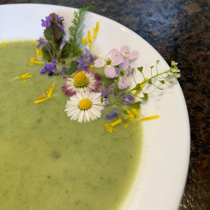 Waltraud Schwindsackl - Erfolgsstory mit Kräuterwissen Waltraud Schwindsackl - Erfolgsstory mit Kräuterwissen