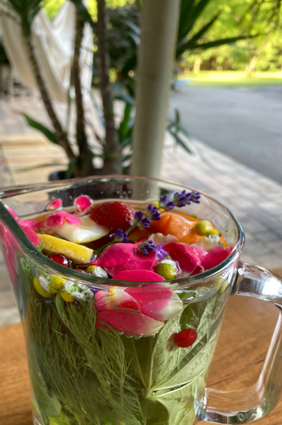 Waltraud Schwindsackl - Erfolgsstory mit Kräuterwissen