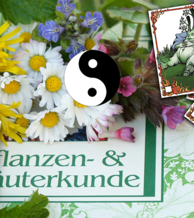 Die 24 Meisterkräuter