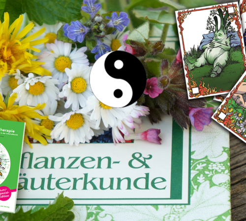 Die 24 Meisterkräuter