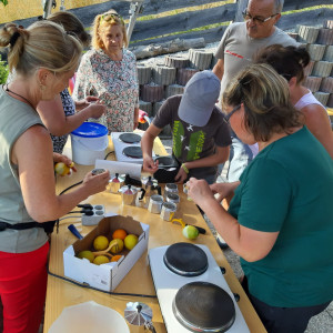 Waltraud Schwindsackl - Erfolgsstory mit Kräuterwissen Waltraud Schwindsackl - Erfolgsstory mit Kräuterwissen