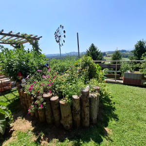 Waltraud Schwindsackl - Erfolgsstory mit Kräuterwissen Waltraud Schwindsackl - Erfolgsstory mit Kräuterwissen