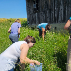 Waltraud Schwindsackl - Erfolgsstory mit Kräuterwissen Waltraud Schwindsackl - Erfolgsstory mit Kräuterwissen